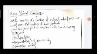 Basic Protocol function & Internetwork