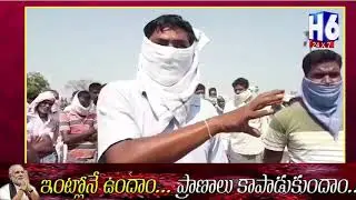 Burning Of Paddy Stubble Continues || వ&zwnj;రి పంట&zwnj;ను త&zwnj;గ&zwnj;ల&zwnj;బెట్టిన రైతు | H6 NEWS