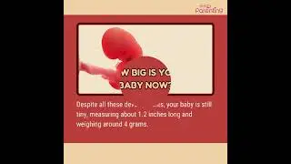 10 Weeks Pregnant : Baby Growth and Development
