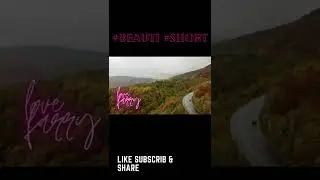 beautiful Eye-catching scene