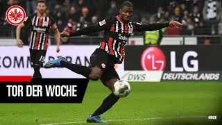 Tor der Woche I Traumtor von Almamy Toure I Eintracht Frankfurt - RB Leipzig