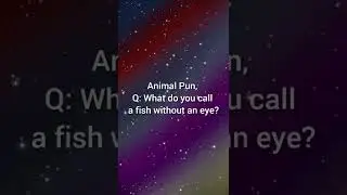 Animal Pun