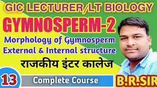Gymnosperm Morphology External and Internal structure || LT/GIC Lecturer Biology Best Class