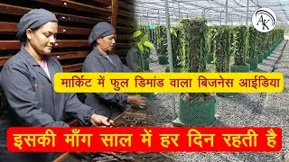 Low Investment High Profit Business Ideas in Hindi | Vanilla Farming Business  | AK BUSINESS IDEAS.