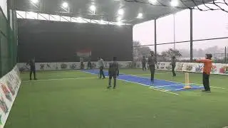 cricket Live Stream