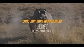 DSC Foundation Midyear Live Virtual Auction: Game Trackers Africa Conservation Management Hunt