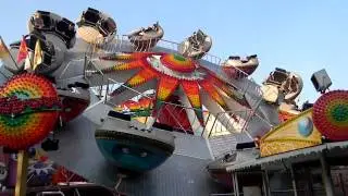 Flipper - Splitt