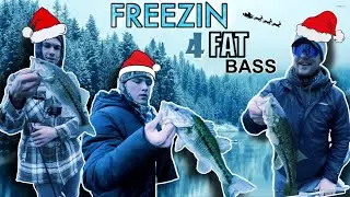 How YOU Can Catch Those Fat & Lazy Winter Bass in FREEZING Weather!