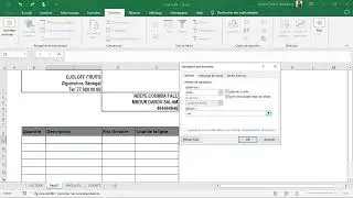 Tutos Excel en Wolof : Facture dynamique de A &agrave; Z