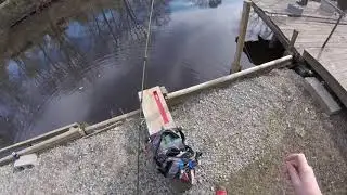 2018 Chesapeake Yellow Perch Spawning Run: After the Nor'easter