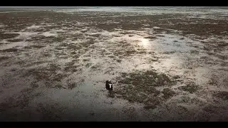 Esteros del Iberá westdive 2019