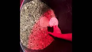 У нас есть особенная цыплёнок-СПАСАТЕЛЬ! Узнайте её историю! ЧАСТЬ 1