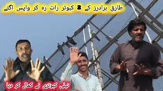 Tariq Brother's ki 2 kabootari Raat Rah Kar a Gai 😃