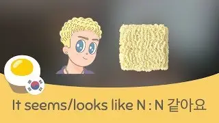 Korean Grammar Lesson: N+같아요 - it seems/looks like N