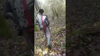 aukso paieska