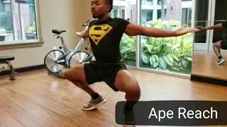 Ape Reach TFF Gym