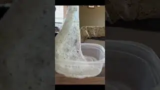 slime #slime #slime #yum #very #cool ￼