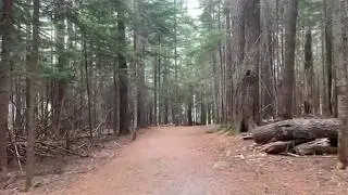 Sunday morning hike  - uniacke estate