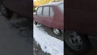 Citroen Visa bei -20 Grad starten