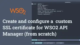 Create and configure a custom SSL certificate for WSO2 API Manager