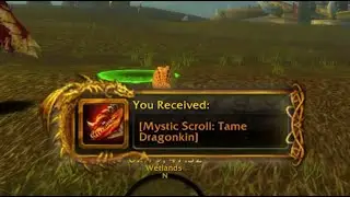 how to get TAME DRAGONKIN in warcraft reborn - ascension bronzebeard!