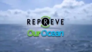 Repreve our Ocean - Prevented Ocean Plastic