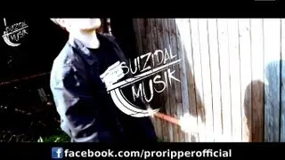 ProRipper - VBT 2013 VR 02 (vs. Narziss)