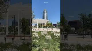 this new park in Barcelona just opened, with many spots to relax! ☀️🌵#barcelona #espanya #travel
