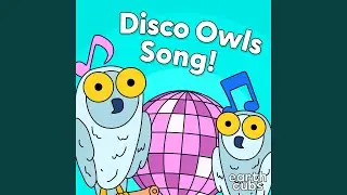 Disco Owls Song