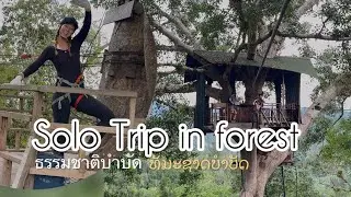 Solo trip in deep jungle Laos 🇱🇦 ชมธรรมชาติลาว 