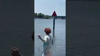 GREAT white shark in the Indian river lagoon! #floridaman #floridalife #florida #fishing #shark
