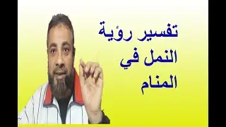 تفسير حلم رؤية النمل للعزباء والمتزوجة  في المنام/ اسماعيل الجعبيري