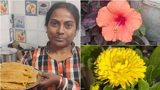 আমার স্মৃতি ভরা পিঠে পুলি নিয়ে মকর সংক্রান্তি উৎসব☺️