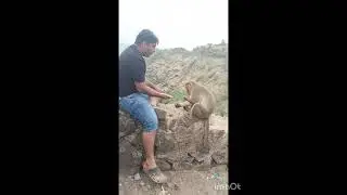 IGATAPURI Camel Valley Point