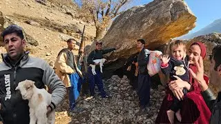 🏔️💔The Ultimate Goodbye! Ali Leads the Flock into the Rugged Mountains Separated from Fatemeh & Kids