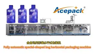 Shanghai Acepack Fully automatic special-shaped bag horizontal packaging machine