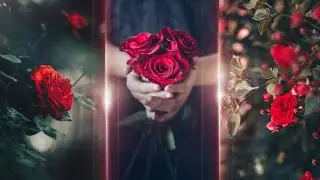 Rose Day Status 🌹🌹 | Rose Day 2022 | A Little StatusES | #roseday2022 #roseday2022whatsappstatus