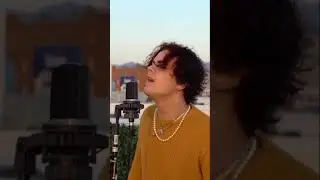 Monster - Alexander Stewart (cover) - Shawn Mendes ft. Justin Bieber