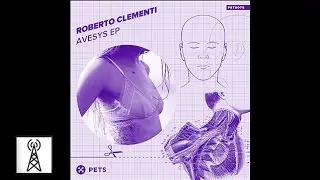 Roberto Clementi - Landing a Man