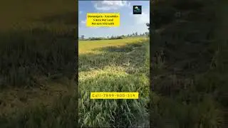 5 Acre Wet Agricultural Land For Sale | Davanagere | Siddapura | Karnataka #agricultural #Diaryfarm