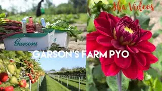 Garsons Farm tour in Tamil 2022 | Largest PYO in the UK| Sha Videos
