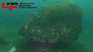 Wintertauchgang Attersee -Hinkelsteine - Ufostein mit DPV 24.1.2026