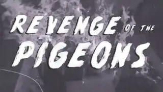 REVENGE OF THE PIGEONS - Trailer