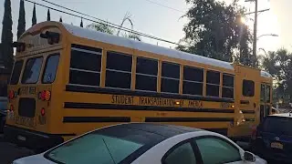 Student Transportation of America 2019 Bluebird Vision Propane #196099