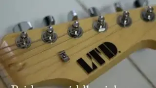 [Demo] ESP LTD ST-213 ASH
