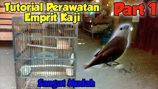 Tutorial Perawatan Emprit Kaji || PART 1