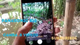 Panasonic eluga Ray 810 camera test all review