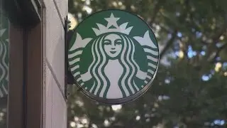 Starbucks hiring Global Coffee Content Creators to travel the world