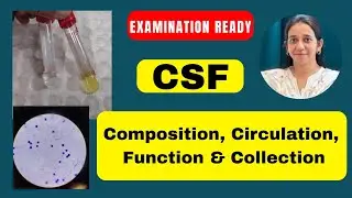 CSF Examination Part 1 &mdash; CSF Composition, Collection Circulation & Cobweb Coagulum Explained | Lab