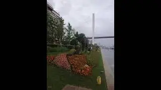 南浦大桥旁的浦东滨江遥看陆家嘴 #citywalk #city不city #上海 #滨江 #陆家嘴 #chinatravel #shanghai #PudongBinjiang